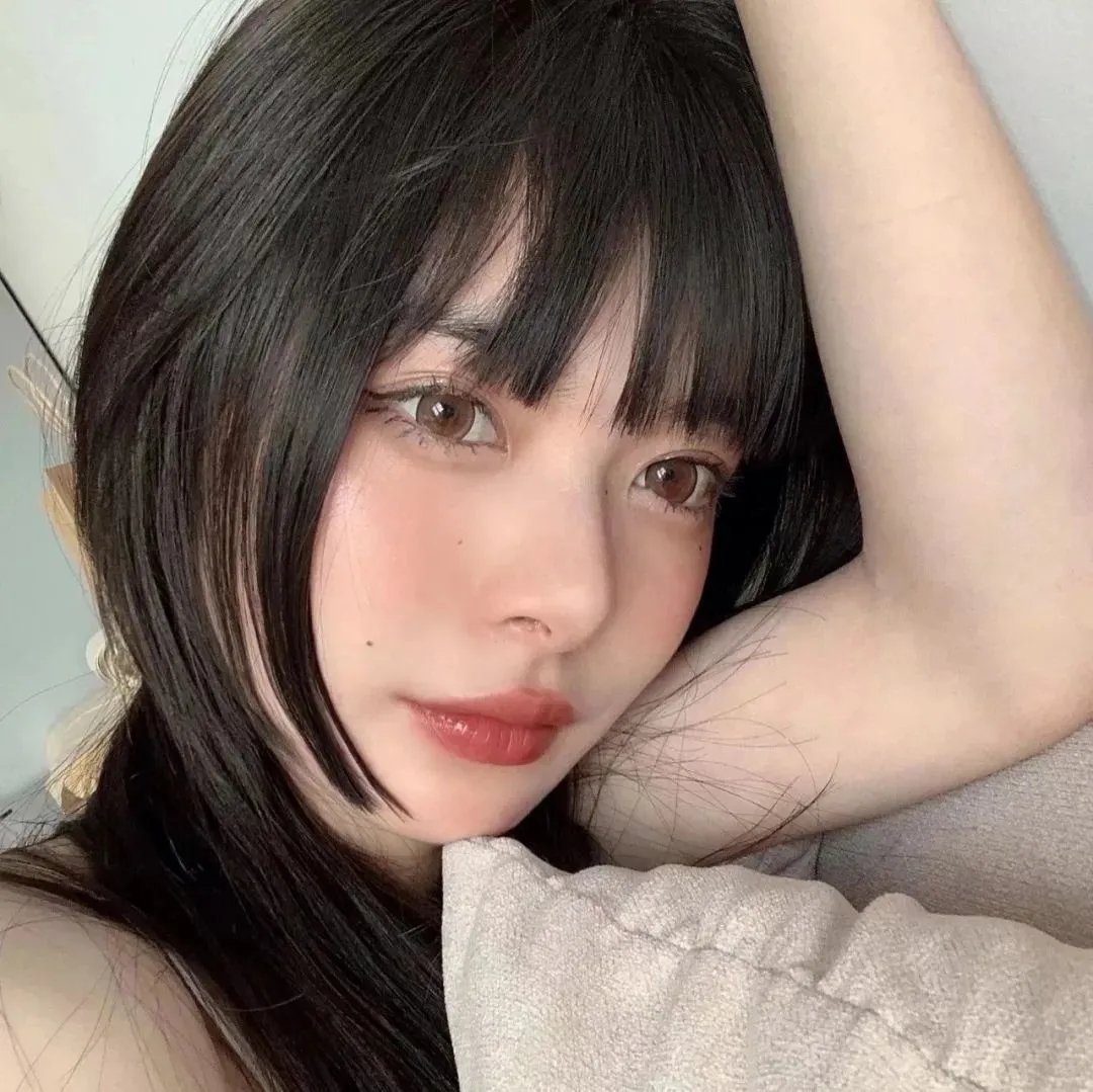 当哈维遇见鲍勃