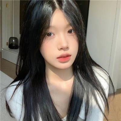 三只流浪狗